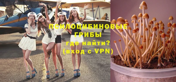 гидра Семёнов